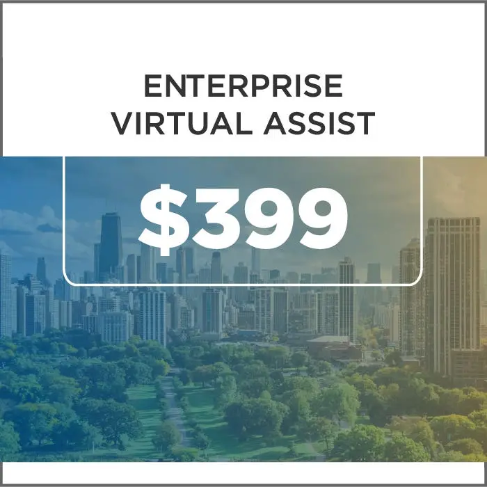 Ageagle Enterprise Virtual Assist 1
