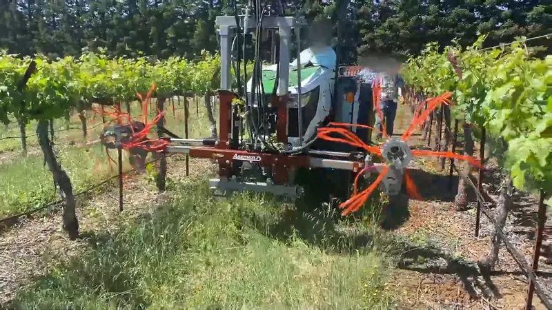 Agrishield Vineyard Sucker Remover | Width 72" | Horsepower 40-80 Hp | For Tractors 1