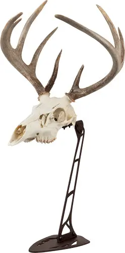 Allen Ez Mount Centerpiece - Skull Stand Brown 1