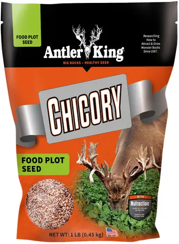 Antler King® | Chicory 1 Lb Bag | Perennial Food Plot Seed | For 1/4 Acre 1