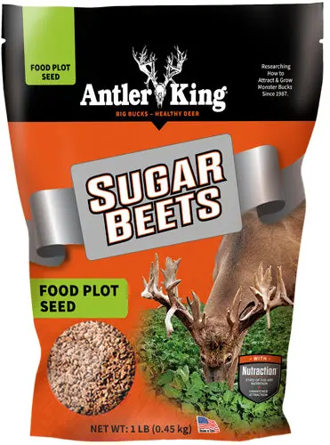 Antler King® | Sugar Beets 1 Lb Bag | Annual Food Plot Seed | For 1/8 Acre 1