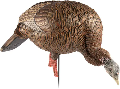 Avian X Hdr Feeding Hen Decoy - 1