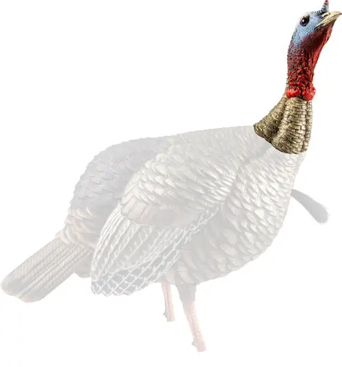 Avian X Hdr Jake Decoy - 1