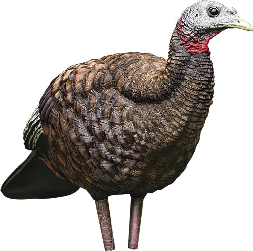 Avian X Lcd Breeder Hen Decoy - 1