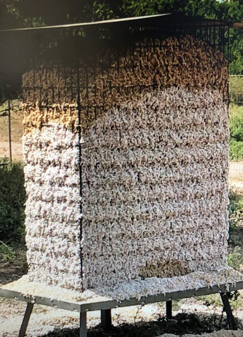 Aws Blind Cotton Seed Feeder | Capacity 7001B & 12001B | 40-75 Hp | For Atvs/Utvs & Tractors 1
