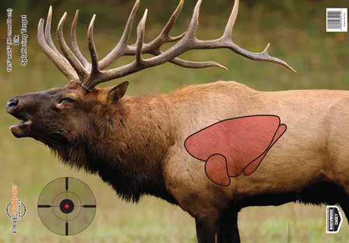 B/C Target Pregame 16.5"X24" - Elk Target 3-Targets 1