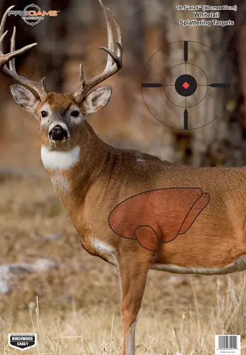 B/C Target Pregame 16.5"X24" - Whitetail Deer Target 3-Targts 1