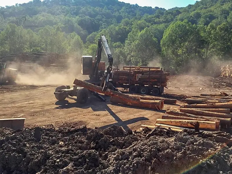 Barko Rough Terrain Loader | Model 495B Rtc | Width 9' 11" Ft | Horsepower 173 Hp | For Logging And Loading 2