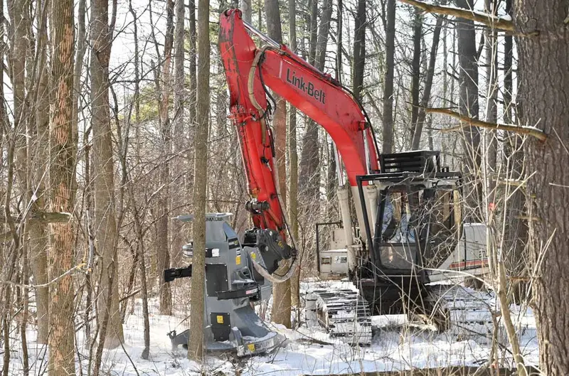 Baumalight Feller Buncher | Model Fbxd752 | Diameter Blade 52" | Machine Size 22.5 To 32.5 Tons | For Excavators 1