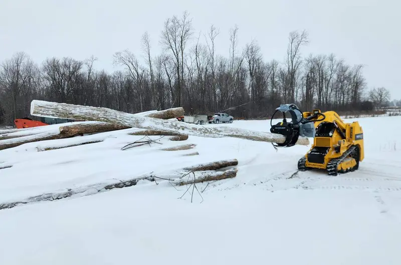 Baumalight Log Grapple | Model Lmh-316G  | Grapple Opening 39.65" | Hydraulic Flow 5 To 20 Gpm | For Mini Skid Steers 1