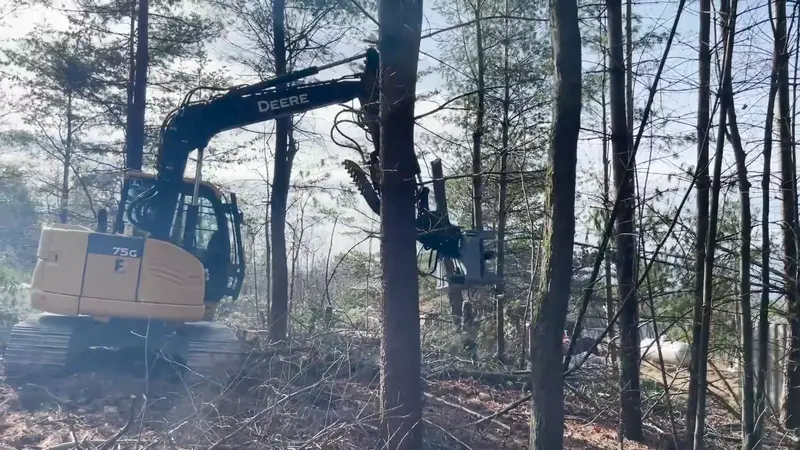 Baumalight Tree Shear | Model Ixp508g, Ixp510g & Ixp512g | Limb Size 8", 10" & 12" | Machine Size 3 To 20 Tons | For Excavators 1