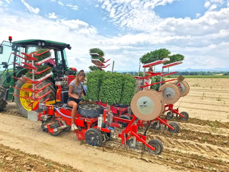 Checchi & Magli Electro Rapid Shift (Ers) | Inter-Plant Spacing 2” - 40” | Customizable Menu In 5 Languages | For Tractor 1