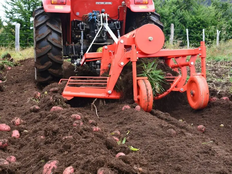 Checchi & Magli The Potato Digger Sp100v | 59" Working Width | 15 Hp For Tractor 4