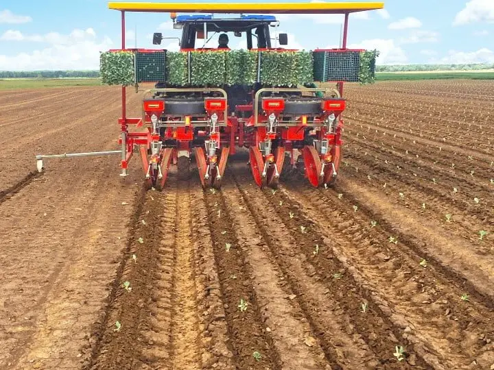 Checchi & Magli Top-24 Transplanters | 2-8 Rows | Frame Size 87" - 197" | 26-82 Hp | For Tractors 6