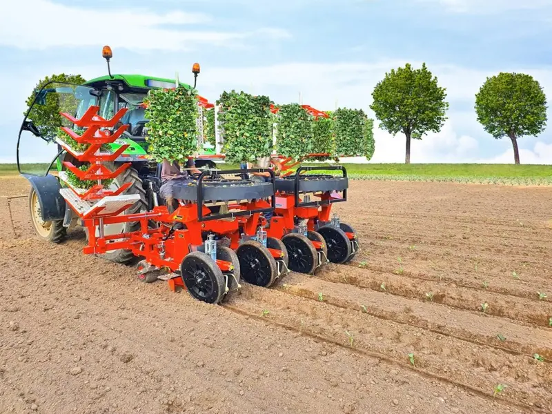 Checchi & Magli Top-24 Transplanters | 2-8 Rows | Frame Size 87" - 197" | 26-82 Hp | For Tractors 8