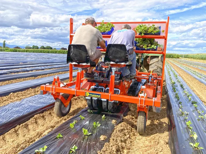 Checchi & Magli Transplanter Smartwolf Compact | Maximum Size 8 Cm (3”) | 40-85 Hp For Tractors 1