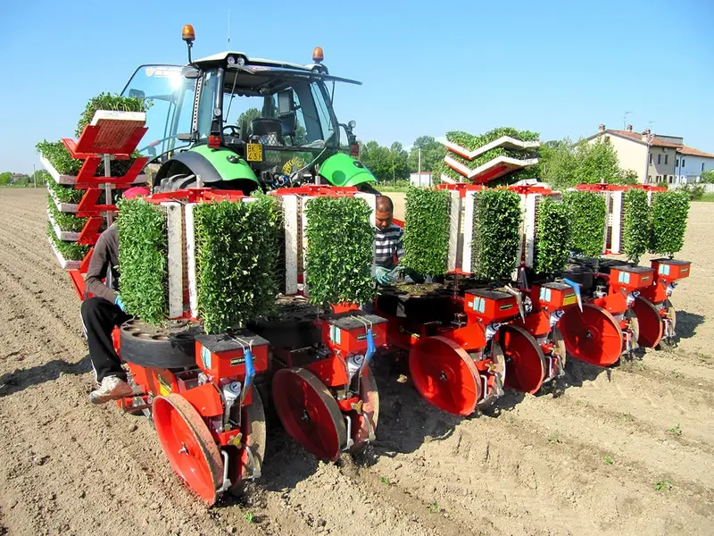 Checchi & Magli Transplanter Texdrive Best 12-Cups | Frame Width 79" To 157" | Horsepower 25-45 Hp | For Tractors 3