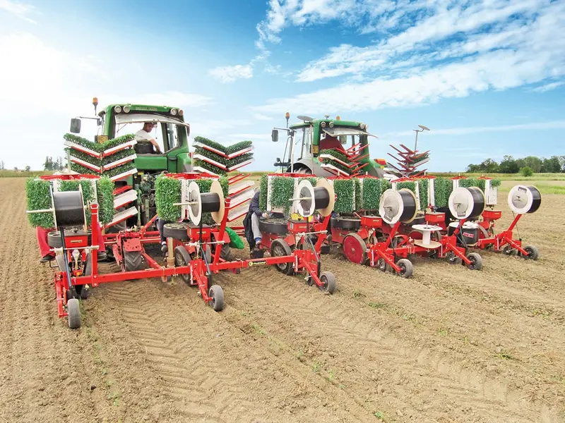Checchi & Magli Transplanter Texdrive Best 6-Cups | Frame Width 79" To 157" | Horsepower 25-45 Hp | For Tractors 5