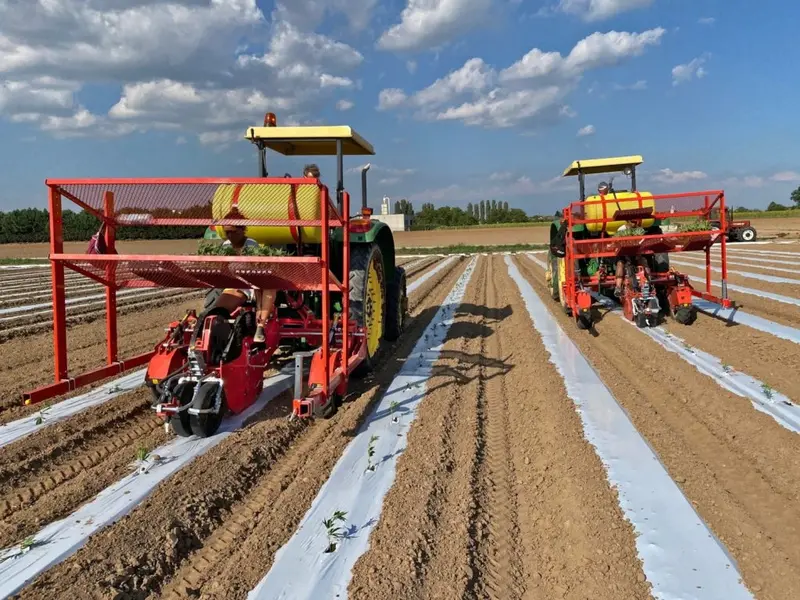 Checchi & Magli Transplanter Wolfpro Compact | 2-6 Rows | 79"-138" Frame Width | 30-85 Hp For Tractor 1