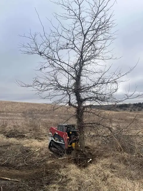 Cl Fabrication Challenger Tree Puller | Width 38" Inches | Oil Flow Range 15 To 25 Gpm | For Skid Steers 1
