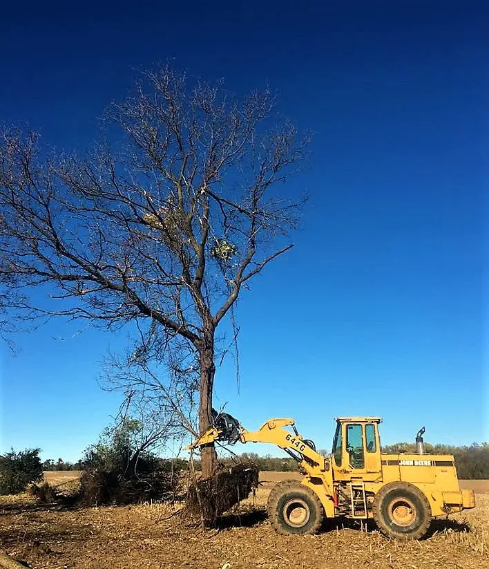Cl Fabrication Dominator Tree Puller | Width 60" Inches | Oil Flow Range 15 To 25 Gpm | For Skid Steers 1