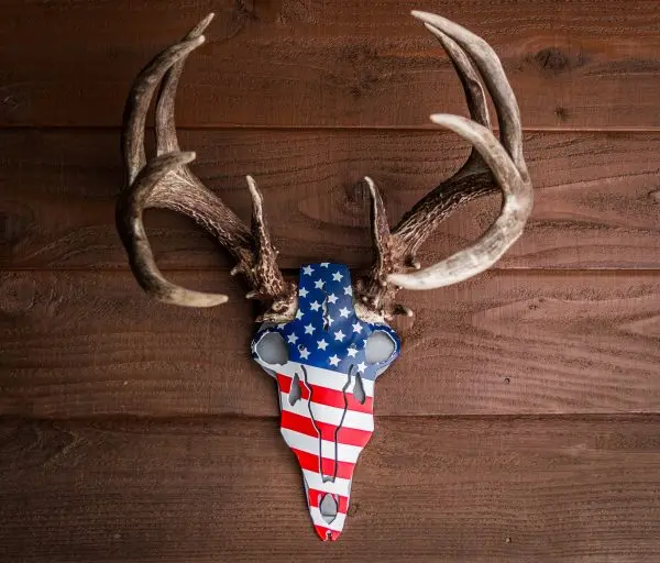 Do All Traps America Buck Antler Mount | Wide 6" | Tall 12" 1