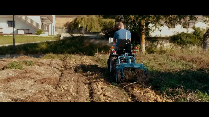 Farm-Maxx Single Row Potato Harvester | Width 36" | 18 Hp | For Tractors 2
