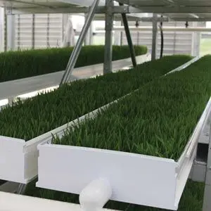 Farmtek Fodderpro 2.0 Indoor Feed Module System | Compact, Efficient Fodder Production 2