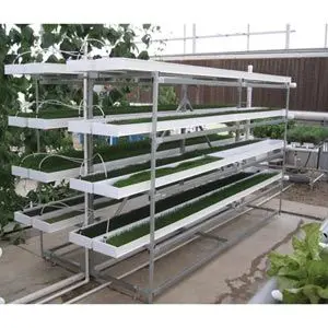 Farmtek Fodderpro 2.0 Indoor Feed Module System | Compact, Efficient Fodder Production 2