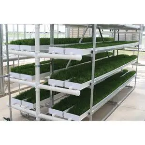 Farmtek Fodderpro 2.0 Indoor Feed Module System | Compact, Efficient Fodder Production 3