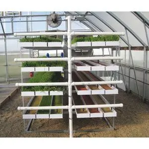 Farmtek Fodderpro 2.0 Indoor Feed Module System | Compact, Efficient Fodder Production 3