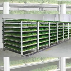 Farmtek Fodderpro 3.0 Commercial Feed Module | Indoor Hydroponic Fodder System 1
