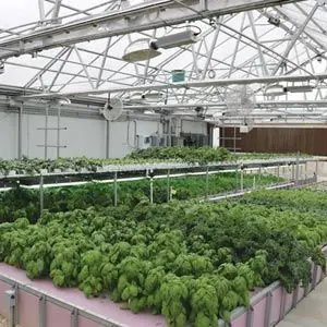 Farmtek Hydrocycle Aquaponics Plant/Fish Farming Growing Systems | Integrated Sustainable Growing Solution 1