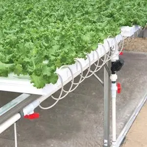 Farmtek Hydrocycle Commercial 6" Nft Lettuce | Growing Systems For Indoor Farming 1