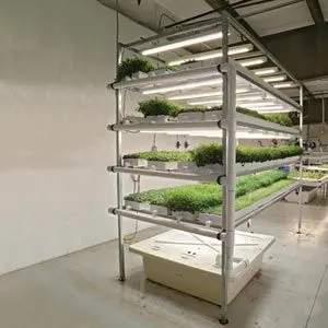 Farmtek Hydrocycle Pro Vertical Microgreen Systems | Nft Lighting System & Indoor Container Farming (Without Lights) | 5′L & 10′L Systems 1