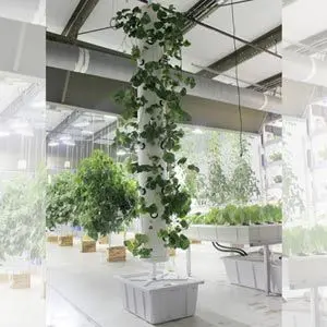 Farmtek Hydrocycle Vertical Aeroponic System | Indoor High-Yield Growing For Tight Spaces 1