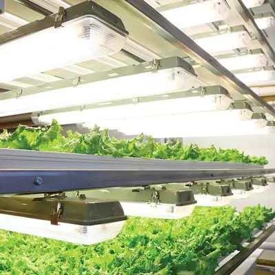 Farmtek Hydrocycle Vertical Farming | Nft Lighting System & Indoor Container Farming (Without Lights) | Channels 4" & 6" Pro 1