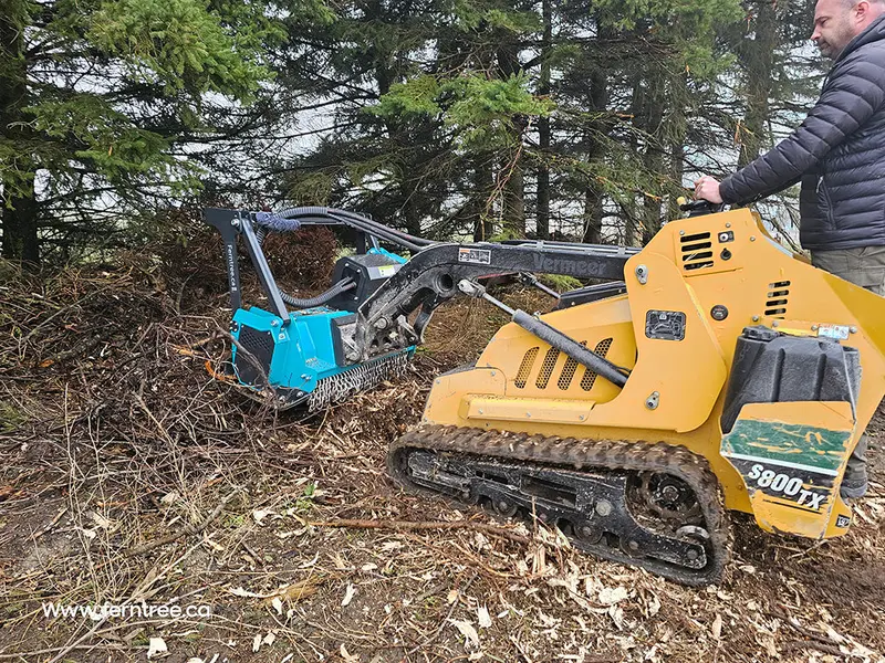 Ferntree F2s Vt Series Fixed Tooth Forestry Mulcher | Cutting Width 36" & 54" | For 12–27 Gpm Mini Skid Steers 1