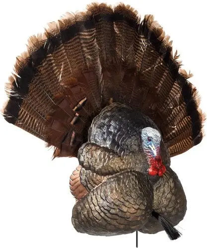 Flextone Thunder Creeper - Strutter Decoy W/ Folding Fan 2
