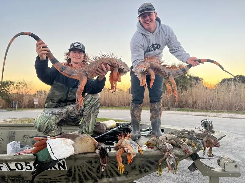 Florida Iguana Hunting Trips 1