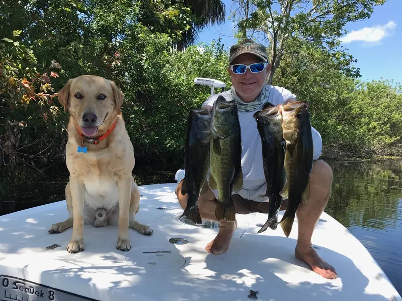 Florida Largemouth Bass Fishing Trips – Freshwater Lake & River Adventures