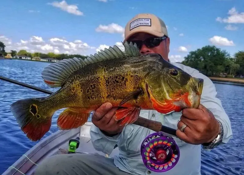 Florida Peacock Bass Fishing Trips 2
