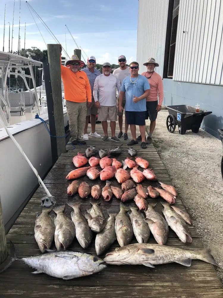 Florida Reef & Wreck Fishing Trips 2