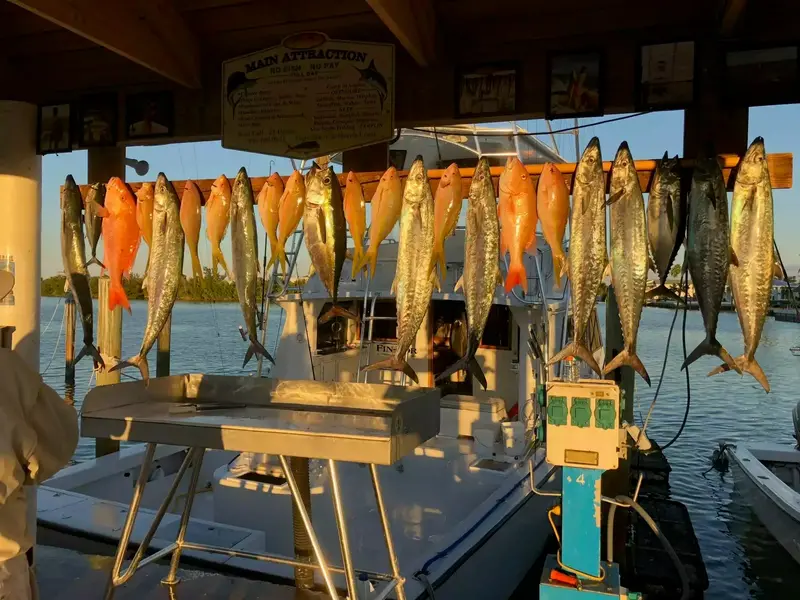 Florida Reef & Wreck Fishing Trips 3