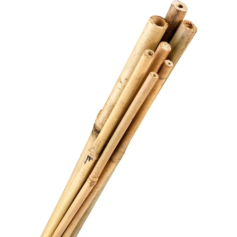 Forestry Supplies Bamboo Stakes- 1/2” X 5’- Bundle Of 200 1