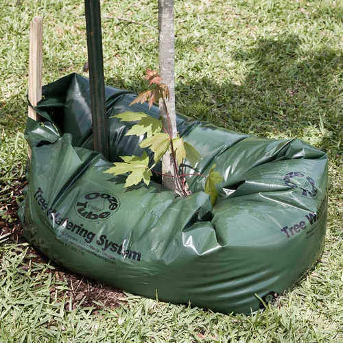 Forestry Supplies Ooze Tube® Tree Watering System 15-Gallon 1