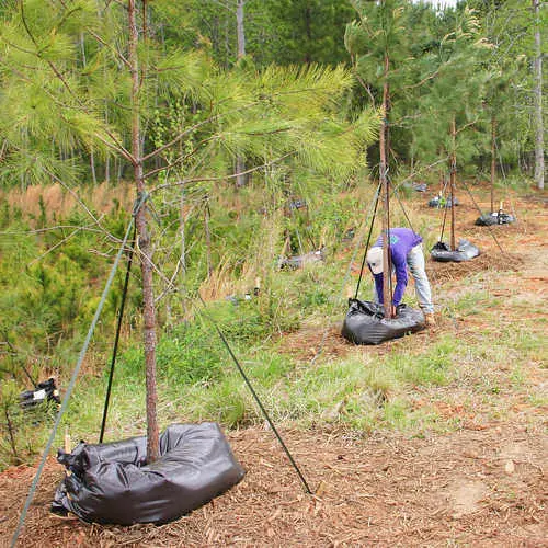 Forestry Supplies Ooze Tube® Tree Watering System 25-Gallon 1