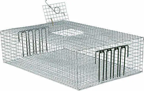 Forestry Supplies Pied Piper Pigeon Trap 1