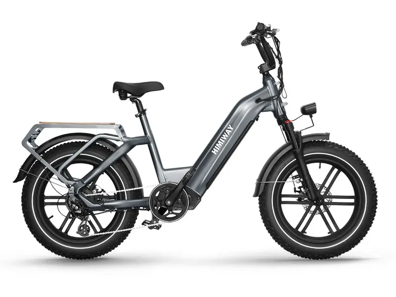 Himiway Big Dog Electric Cargo Bike | 750W Motor | 48V 20Ah 1