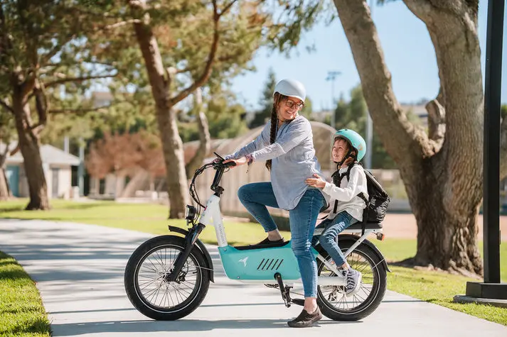 Himiway Cargo Electric Bike | Model C3 | Length 70.4" | Battery 48V 20Ah | Range 80 Miles | 750W Hub Motor 1